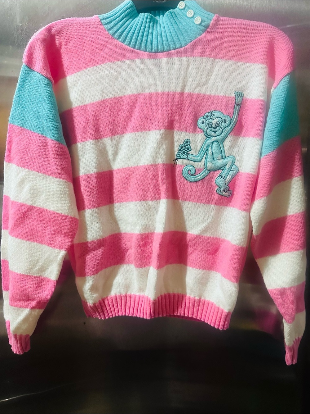 Kids ✨🩷🩵Pink & White Striped Sweater with Teal Monkey Accent